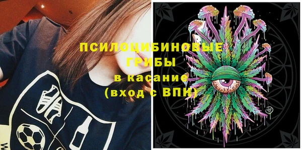 винт Богданович