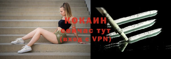 винт Богданович