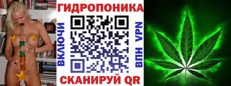 закладка Фокино Шишки марихуана конопля